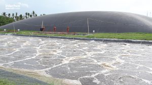biogas khí sinh học