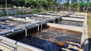Công ty TNHH Đình Ngọc – Cẩm Mỹ, Đồng Nai – ảnh 2
