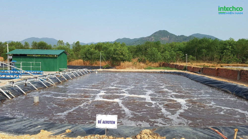 Công ty Cổ phần Chăn nuôi An Phú Khánh – ảnh 5
